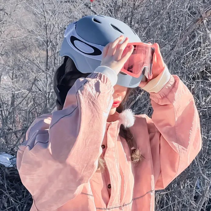 还我河山